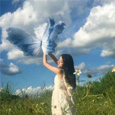 风流十七年